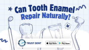 Can Tooth Enamel Repair Naturally? | Trust Dents