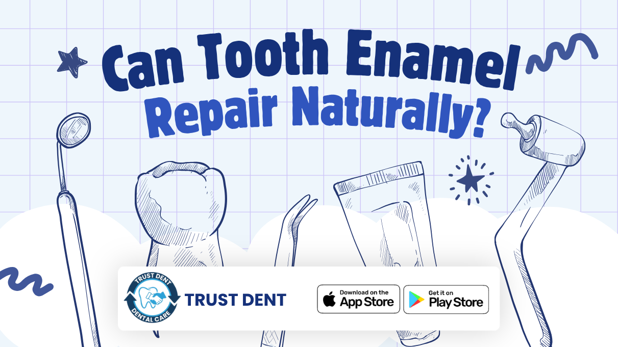 Can Tooth Enamel Repair Naturally? | Trust Dents